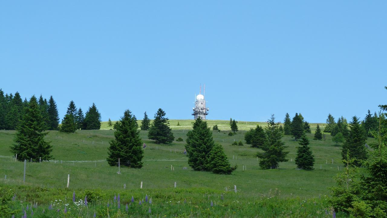 פלדברג Berggasthof-Pension Todtnauer Hutte מראה חיצוני תמונה